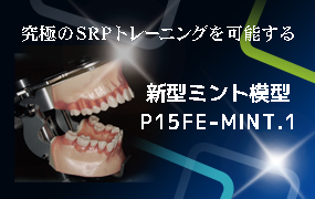 新型ミント模型 P15FE-MINT.1